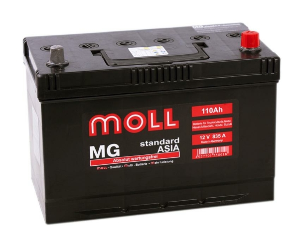 Moll Standard Asia MG 115D31L